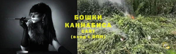 молекула духа Новокубанск