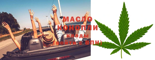 гашик Новозыбков