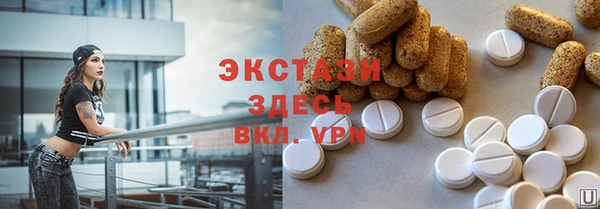 гашик Новозыбков