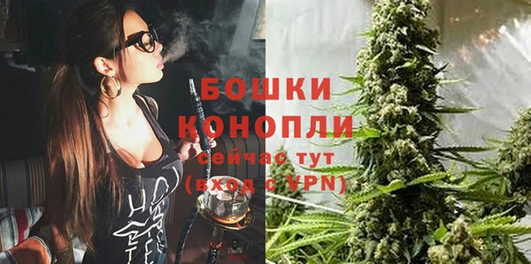 PSILOCYBIN Арсеньев