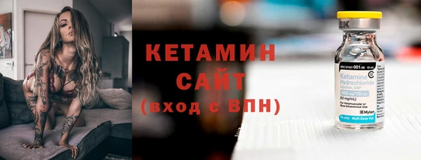 гашик Новозыбков
