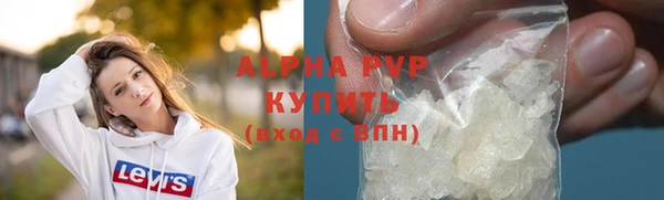 гашик Новозыбков
