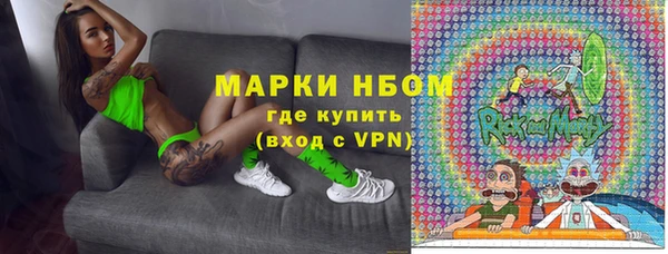 гашик Новодвинск
