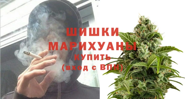 гашик Новозыбков
