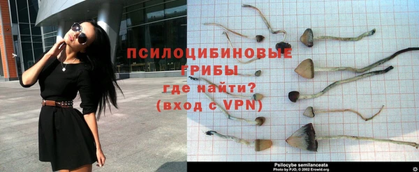 молекула духа Новокубанск