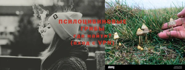 молекула духа Новокубанск