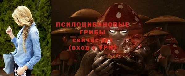 гашик Новозыбков